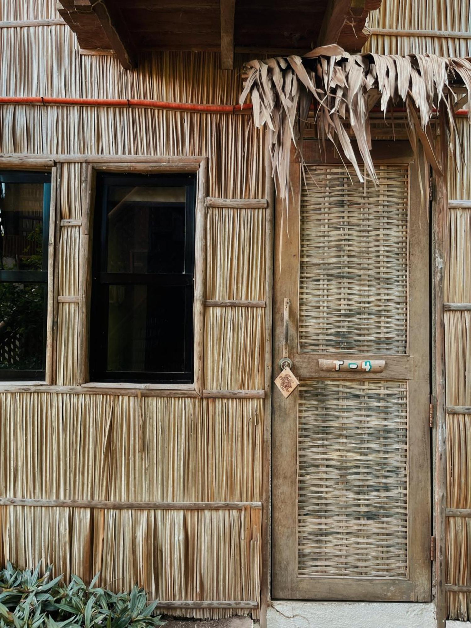Bongo Bongo Divers Dauin Exterior photo